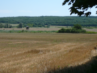 Ödes Kloster im TÜPL